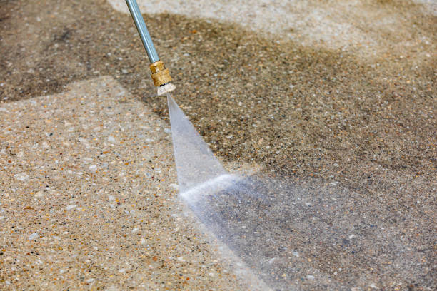Best Roof Washing  in Roan Mountain, TN